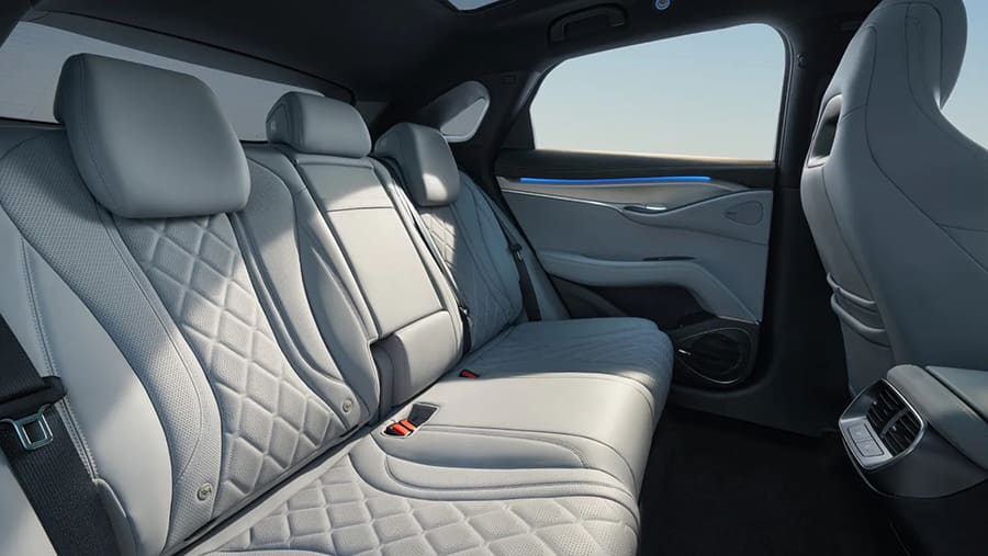 Sellerie Premium